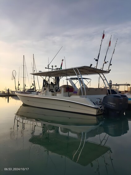 Picture 3 for Activity Ras Al Khaimah: Private Coastal Cruise with Drinks 5