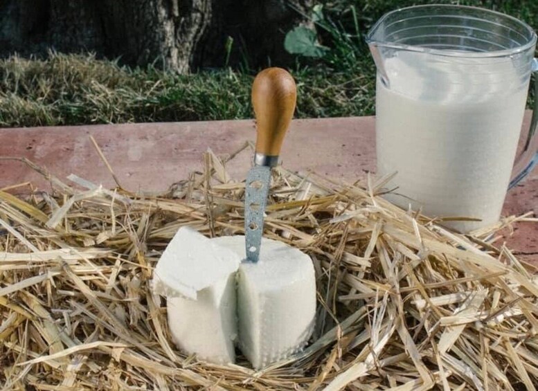 Picture 7 for Activity Goat Farm Cheesemaking Tour & Tasting in Paestum 4