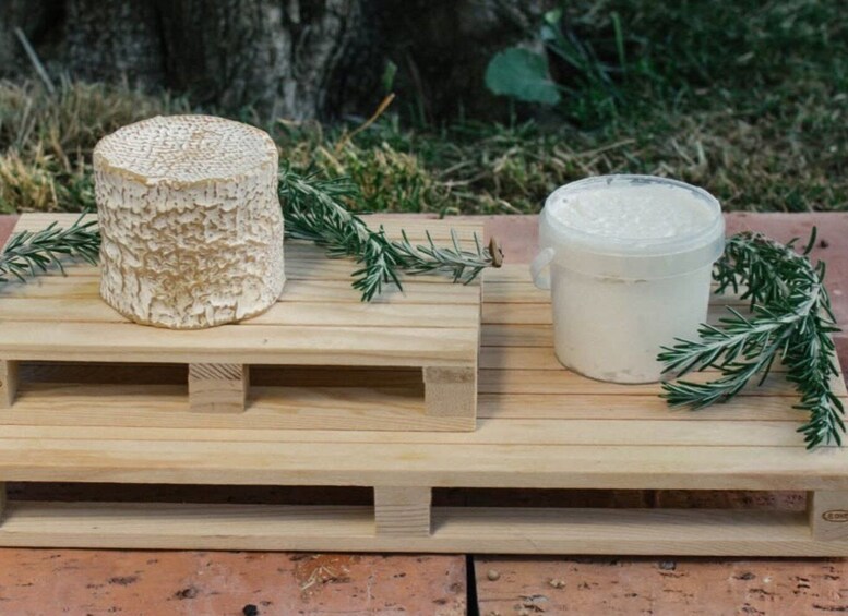 Picture 9 for Activity Goat Farm Cheesemaking Tour & Tasting in Paestum 5