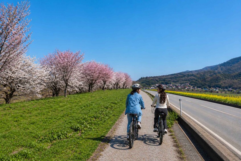 Picture 4 for Activity Nozawa Onsen Guided Cycling Tour 5