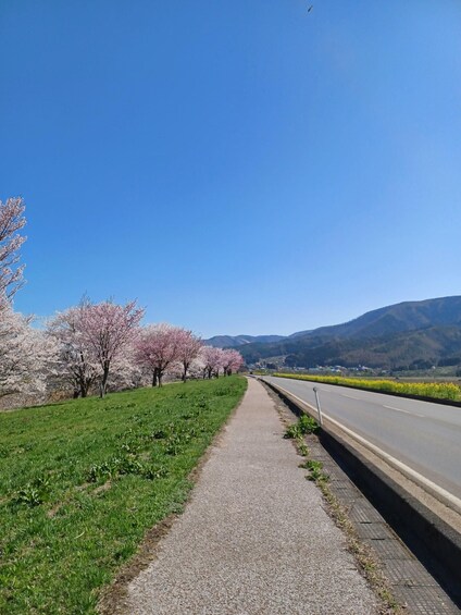 Picture 5 for Activity Nozawa Onsen Guided Cycling Tour 4