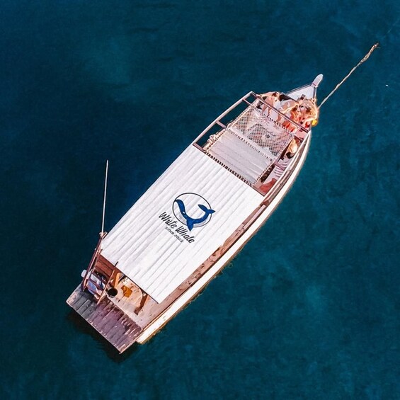 Picture 5 for Activity Koh Tao: Private Full-Day Cruise with Snorkeling & Sunset 3