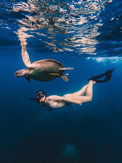 Picture 7 for Activity Koh Tao: Private Full-Day Cruise with Snorkeling & Sunset 4