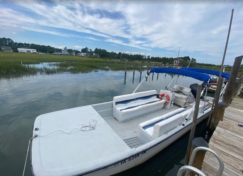 Picture 3 for Activity Chincoteague: Wild Pony Boat Tour with Captain Randy 3
