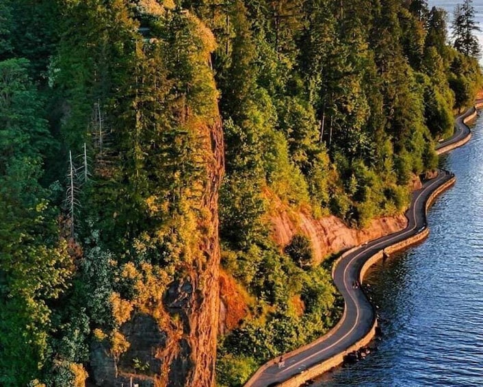 A winding road along a forested coastline. 1
