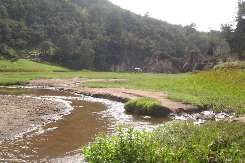 Picture 7 for Activity Wonchi Crater Lake: 2-Day Wellness Retreat 2