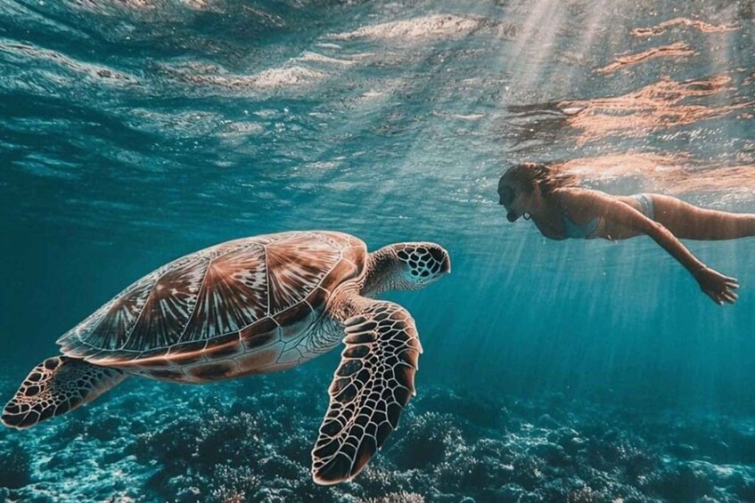 Une personne nageant avec une tortue de mer sous l’eau. 5