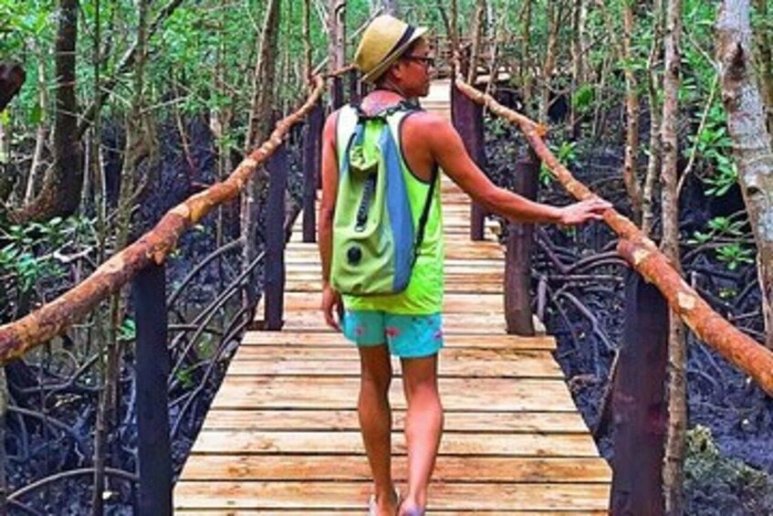 Une personne qui marche sur un pont de bois dans une forêt. 2