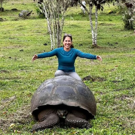 Une personne est assise sur le dos d’une grande tortue dans un champ herbeux, avec des arbres en arrière-plan. 3