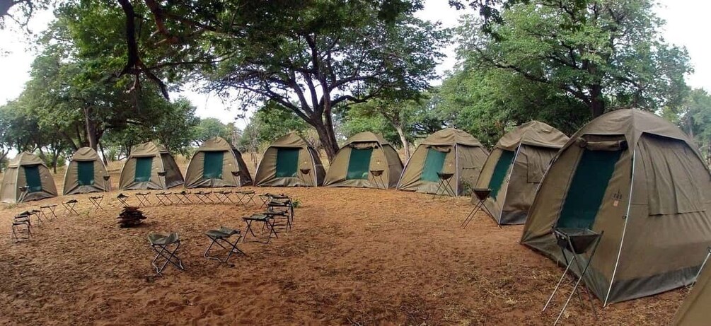 A row of safari tents with green doors, surrounded by trees and dry ground. 2