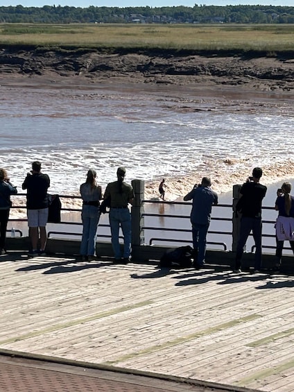 Picture 1 for Activity Moncton: Petitcodiac River Walking Tour 4