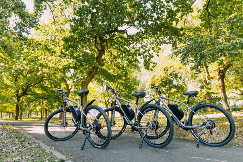 Picture 5 for Activity Belgrade: E-Bike 3h Tour with Local Guide Hills and Forests 2