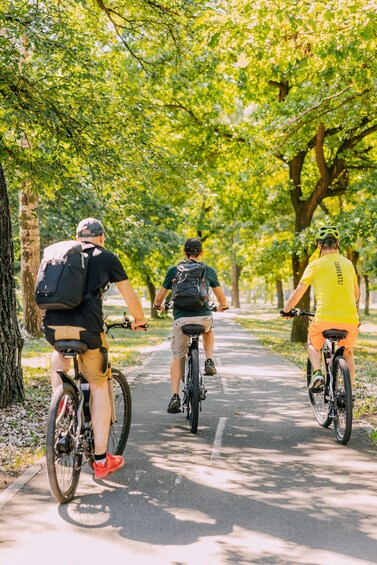 Picture 1 for Activity Belgrade: E-Bike 3h Tour with Local Guide Hills and Forests 5