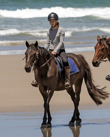 Picture 3 for Activity Waipu: 90-Minute Premium Beach Horse Trek 2