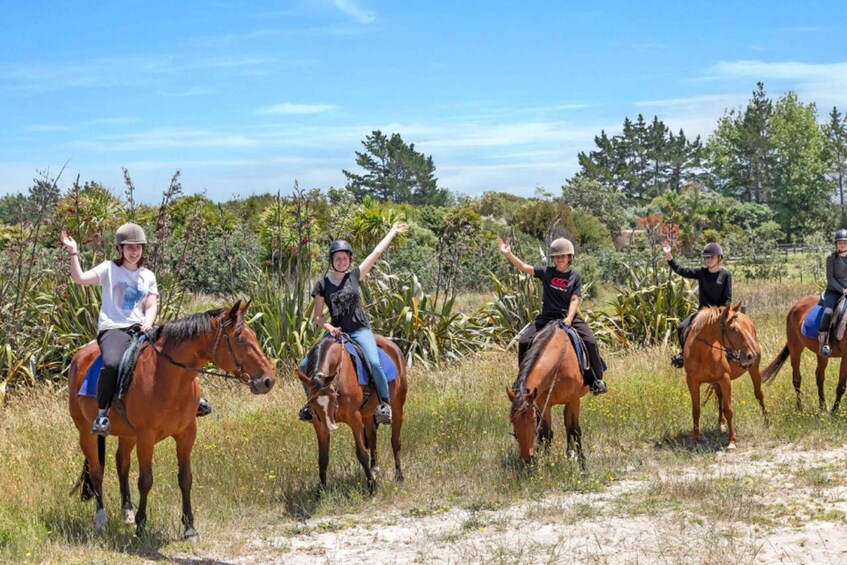 Picture 2 for Activity Waipu: 90-Minute Premium Beach Horse Trek 4