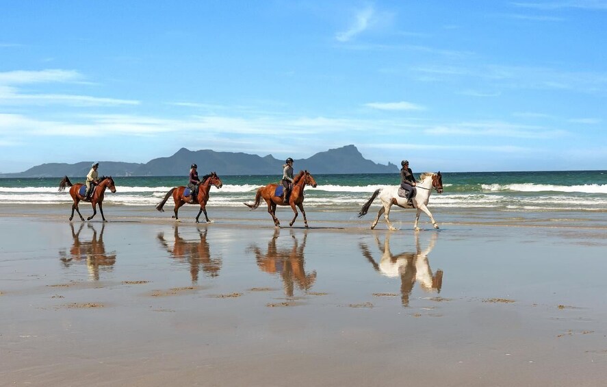 Waipu: 90-Minute Premium Beach Horse Trek 1