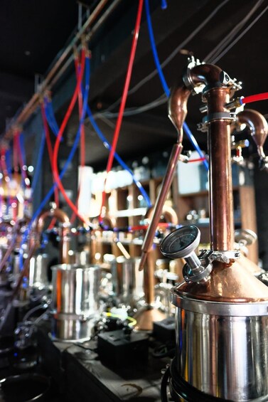 Picture 3 for Activity Newcastle: Gin or Spiced Rum Making Experience 3