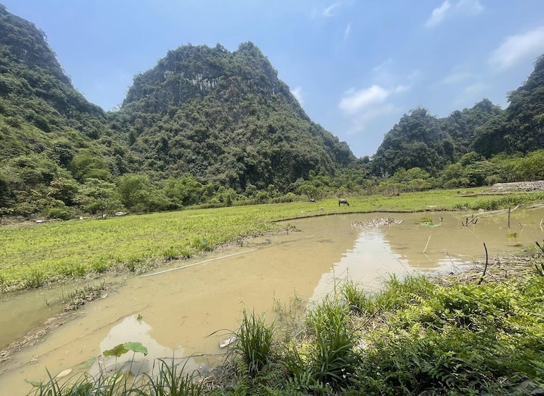 Picture 13 for Activity Ninh Binh: Motorbike Tour Experience on Hidden Backroads 5