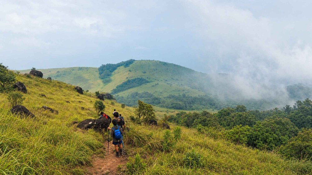 Picture 3 for Activity Karnataka, Coorg: A Day on Tadiyandamol’s Wild Spine 3