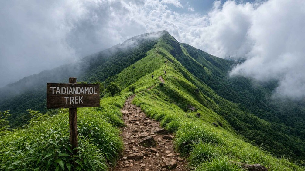 Karnataka, Coorg: A Day on Tadiyandamol’s Wild Spine 1