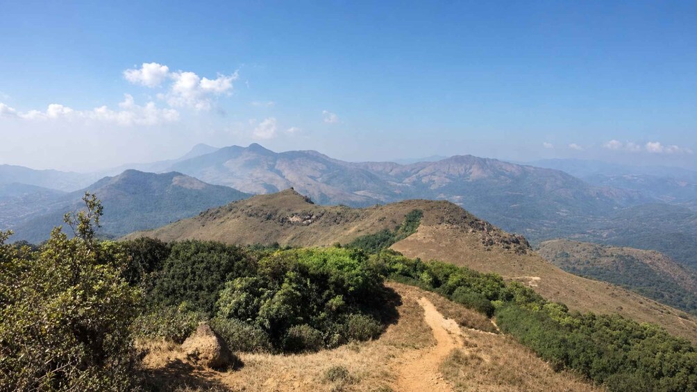 Picture 4 for Activity Karnataka, Coorg: A Day on Tadiyandamol’s Wild Spine 2