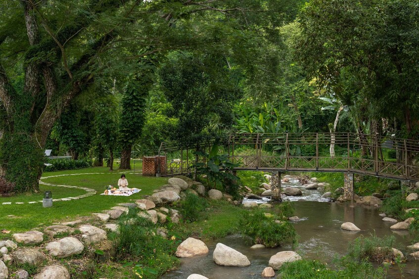 Picture 4 for Activity Chiang Mai: Paint Under the Trees, Picnic on the Lawn 4
