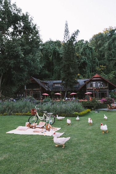 Picture 2 for Activity Chiang Mai: Paint Under the Trees, Picnic on the Lawn 5