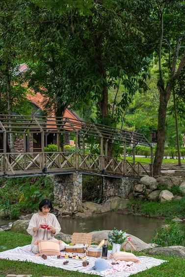 Picture 5 for Activity Chiang Mai: Paint Under the Trees, Picnic on the Lawn 3