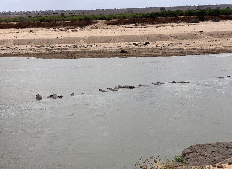 Picture 2 for Activity Overnight Tsavo East Safari From Mombasa/Diani 2