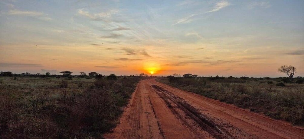 Overnight Tsavo East Safari From Mombasa/Diani 1