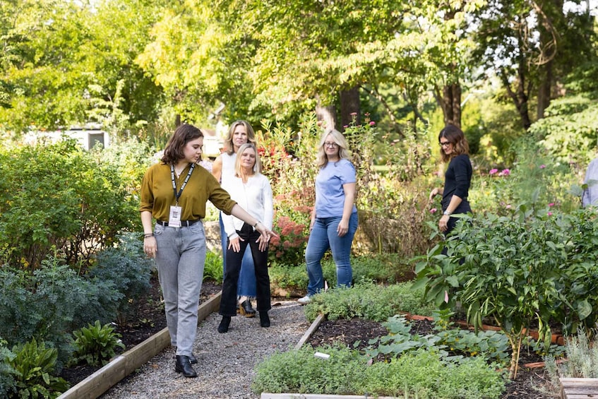 A group of people walking through a garden with various plants and raised beds. 2