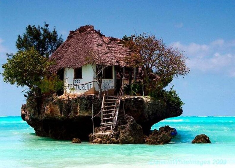 Picture 7 for Activity Zanzibar: Jozani Forest & The Rock Restaurant Day Trip 5