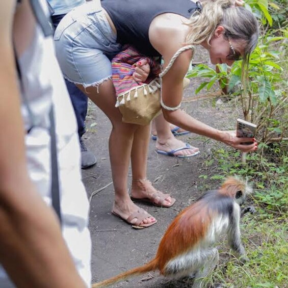 Zanzibar: Jozani Forest & The Rock Restaurant Day Trip 1
