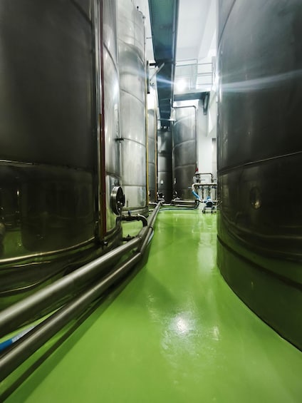Picture 5 for Activity Karepidis Estate: Olive Mill Tour & Tasting 3