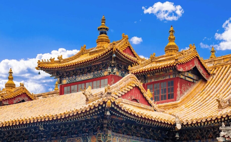 Picture 3 for Activity Half-day tour of Yonghe Temple in Beijing 2