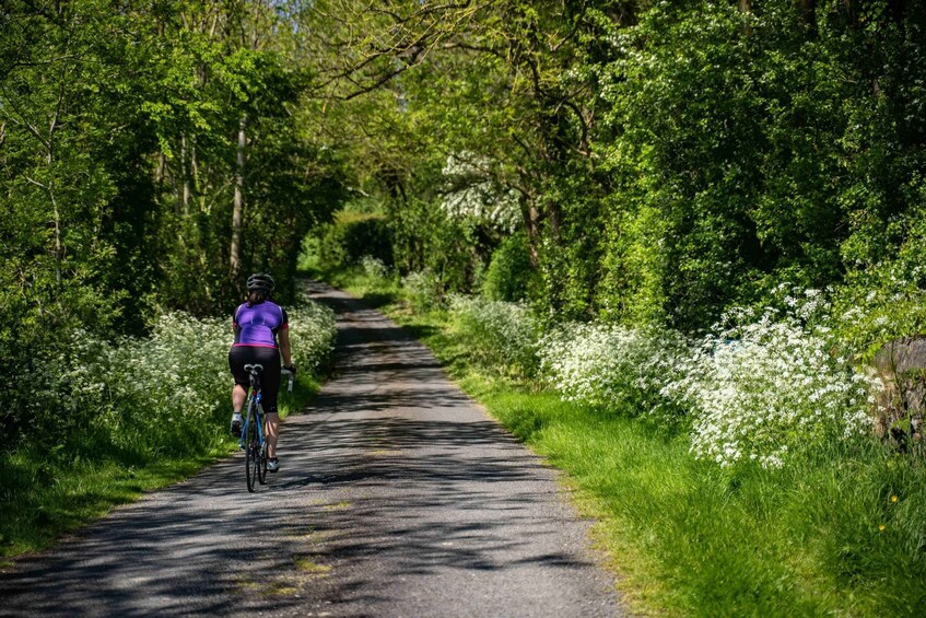 Picture 3 for Activity Cork: Guided Coastal Bike Tour with Castle Views 3