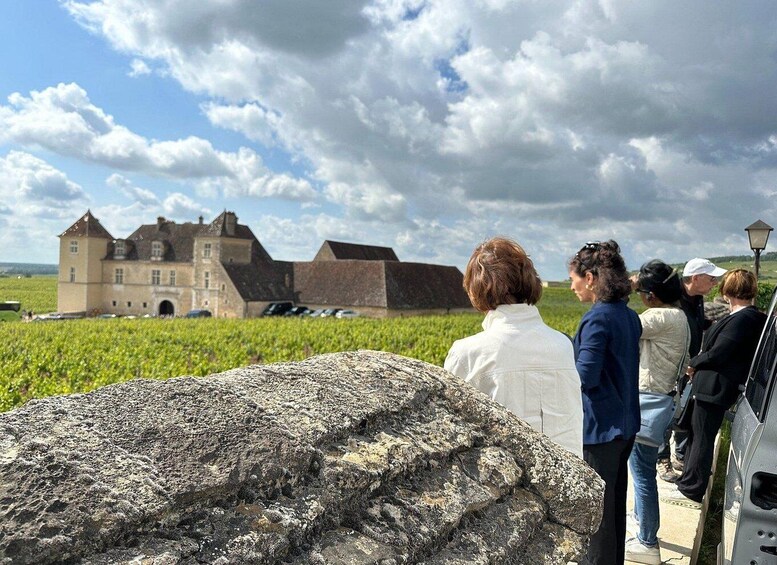 From Dijon: Half day Côte de Nuits wine tour with tastings 1