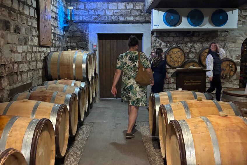 Picture 1 for Activity From Dijon: Half day Côte de Nuits wine tour with tastings 3