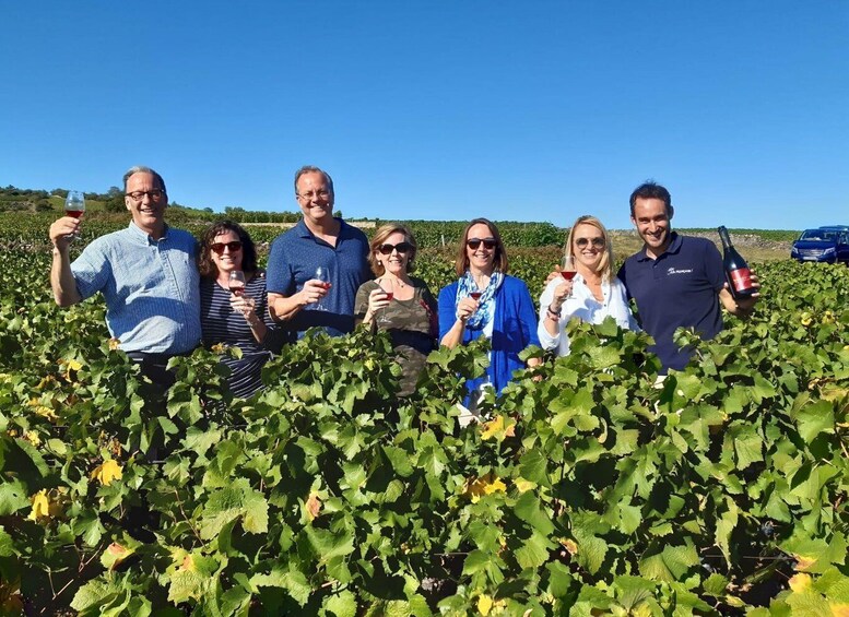 A group of people standing in a vineyard holding wine glasses. 2