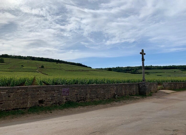 A rural landscape with a stone wall and a cross on a post. 5