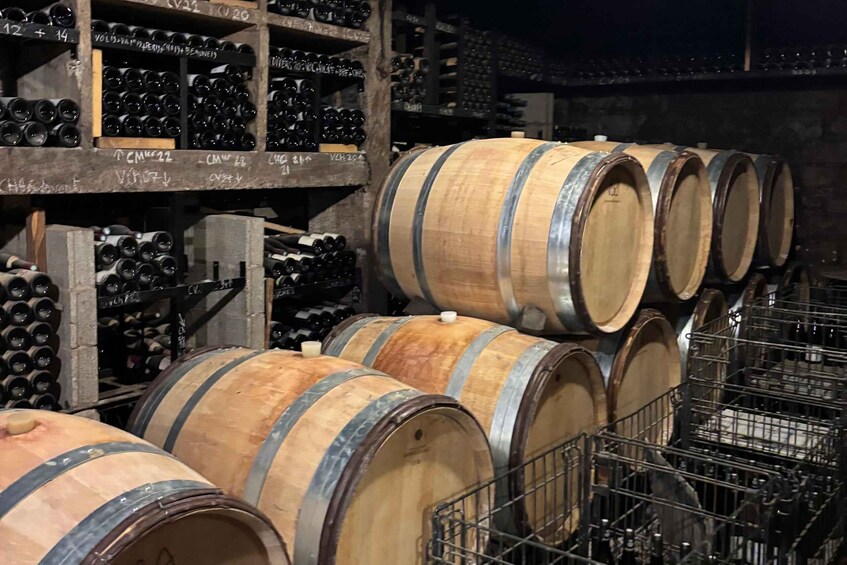 Picture 4 for Activity From Dijon: Half day Côte de Nuits wine tour with tastings 4