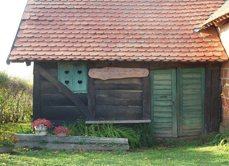 Picture 10 for Activity Novigrad Podravski: Vineyard Walking Tour in Podravina 3