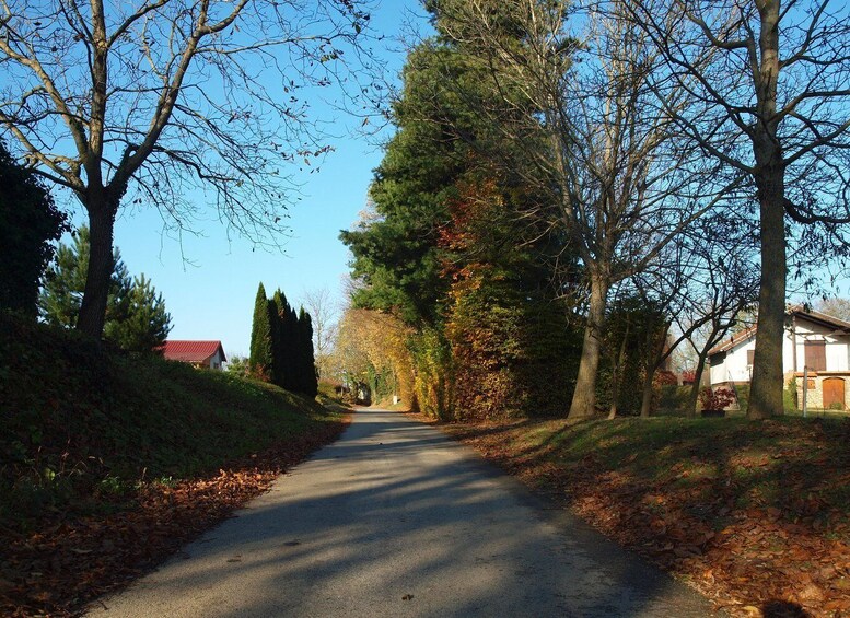 Picture 13 for Activity Novigrad Podravski: Vineyard Walking Tour in Podravina 4