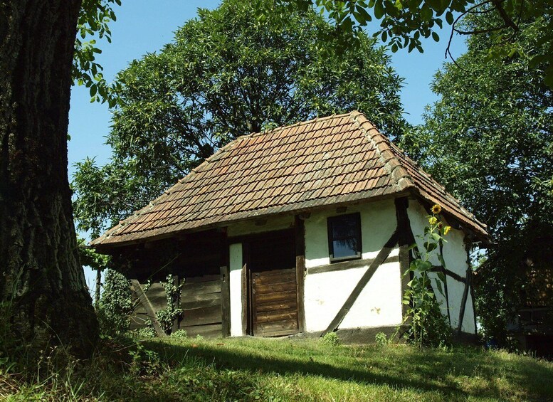 Picture 1 for Activity Novigrad Podravski: Vineyard Walking Tour in Podravina 2