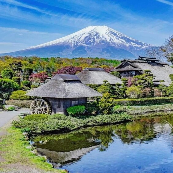 Picture 2 for Activity From Tokyo : Mount Fuji Full-Day Tour with Guide 3