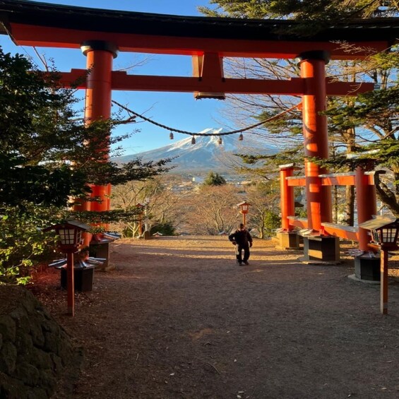 Picture 4 for Activity From Tokyo : Mount Fuji Full-Day Tour with Guide 2