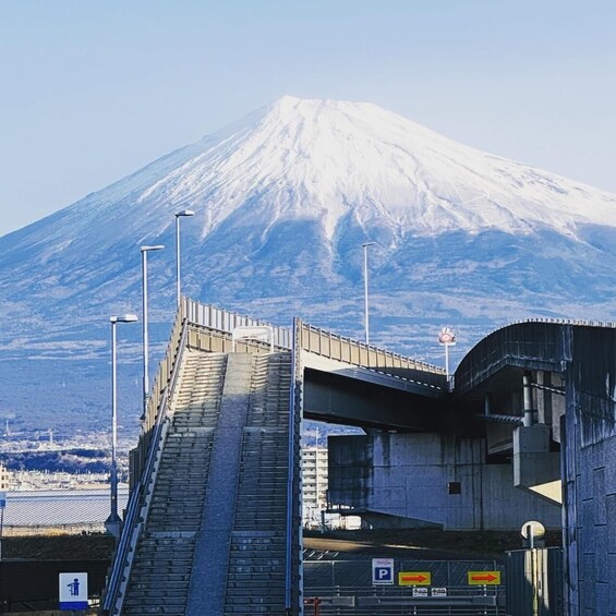 Picture 3 for Activity From Tokyo : Mount Fuji Full-Day Tour with Guide 4