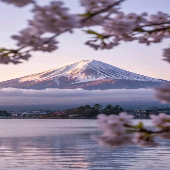 From Tokyo : Mount Fuji Full-Day Tour with Guide 1