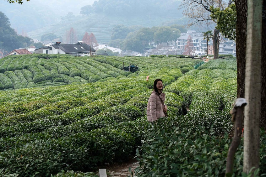 Hangzhou Tea Hiking Tour: Where Tea Rang Through the Hills 1