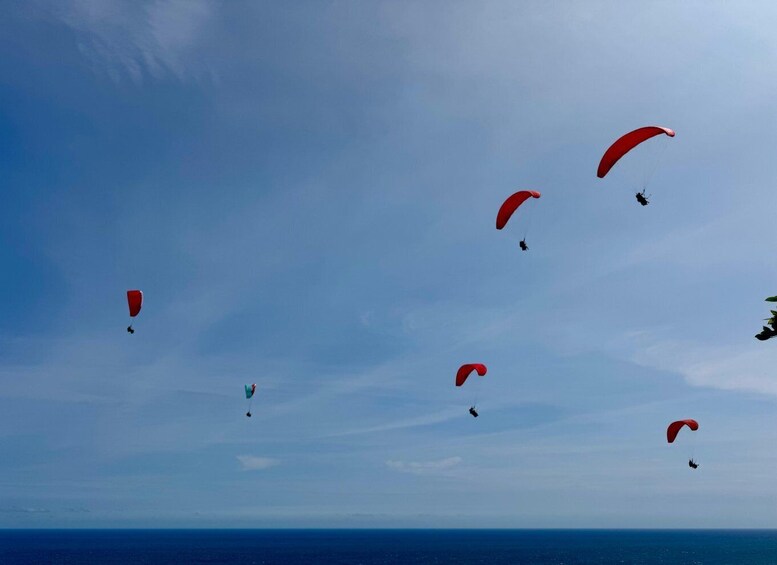 Picture 3 for Activity Bali Paragliding Experience at Pandawa Beach With Instructor 4